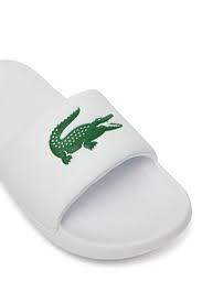 Сланцы